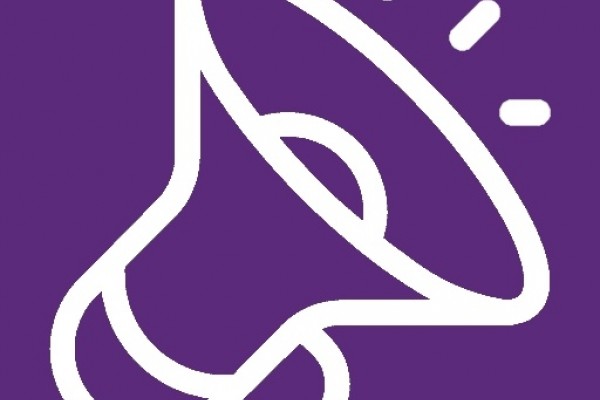 PReS Introductory Course on Paediatric Rheumatology: Polyarteritis Nodosa and ANCA Associated Vasculitis - A Guide for the Pediatric Rheumatologist